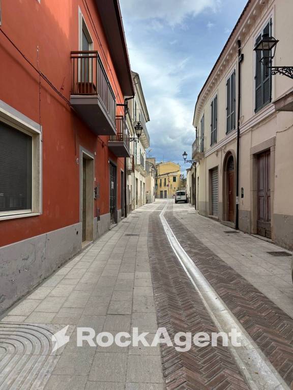 immagine annuncio 0 di 15