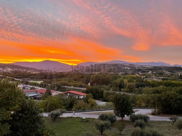 negozio in vendita a Turrivalignani