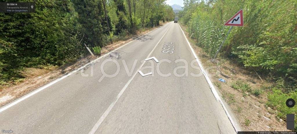 terreno agricolo in vendita a Turrivalignani