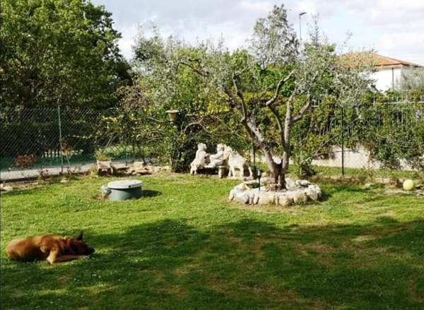 casa indipendente in vendita a Vicoli