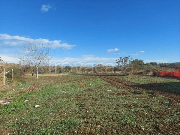 terreno agricolo in vendita ad Altino