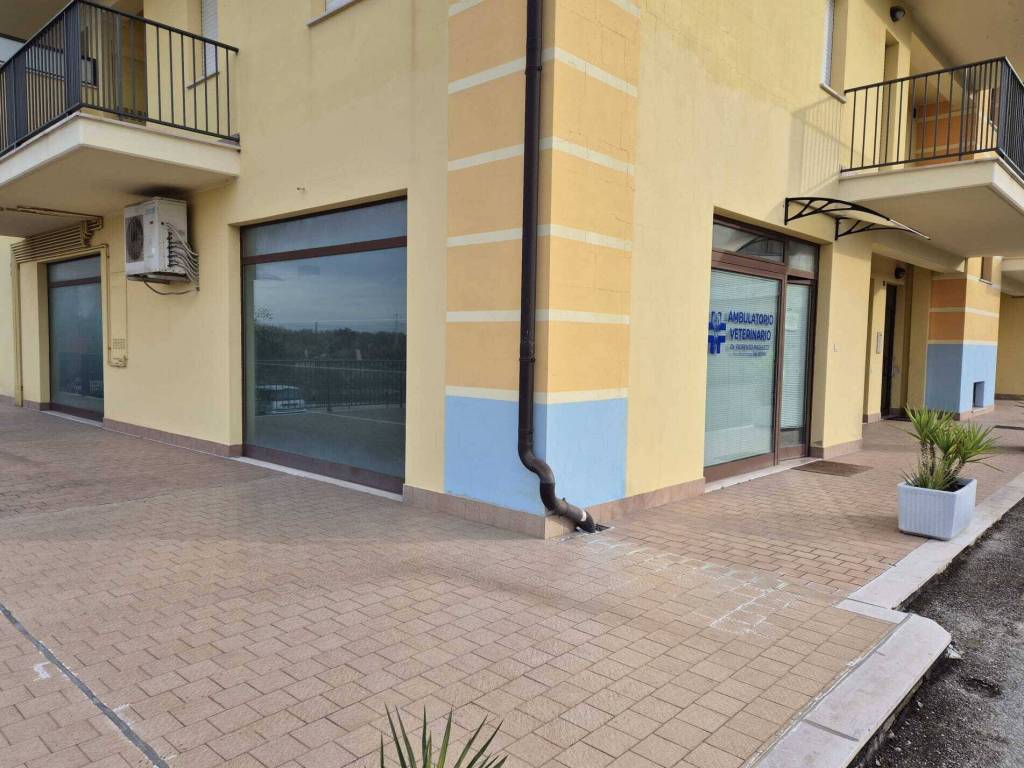 negozio in vendita ad Altino