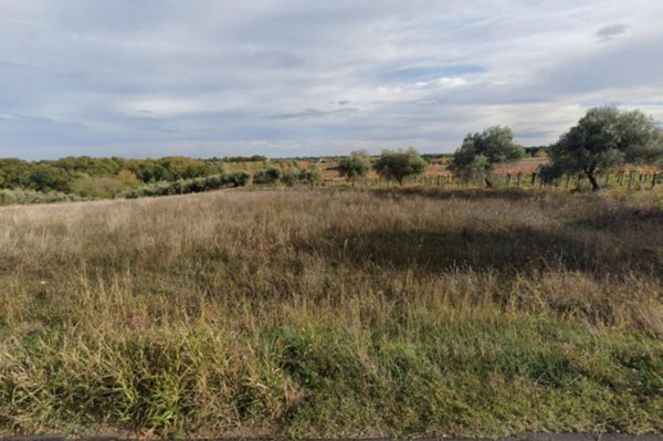 terreno agricolo in vendita ad Ari