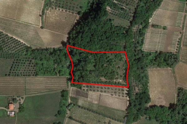 terreno agricolo in vendita ad Ari