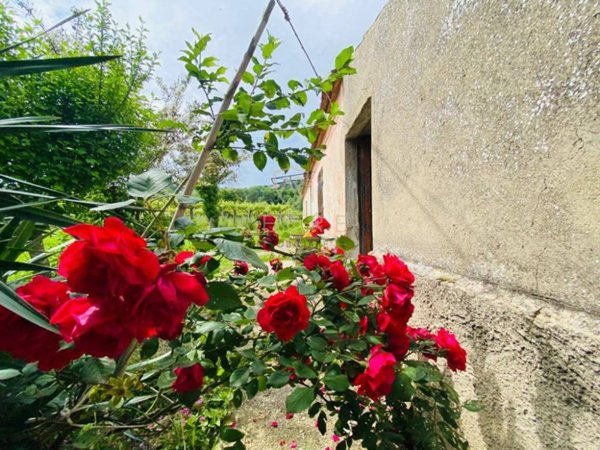 casa indipendente in vendita ad Ari