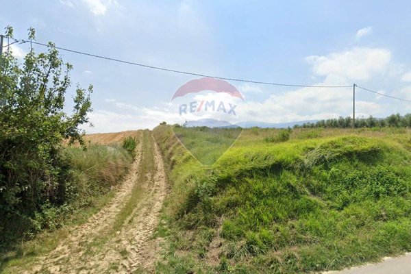terreno agricolo in vendita ad Ari