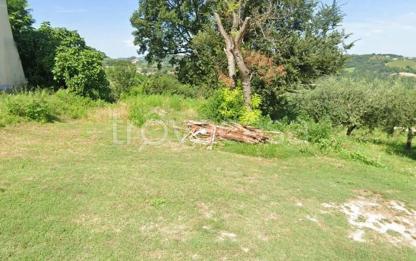 terreno agricolo in vendita ad Ari