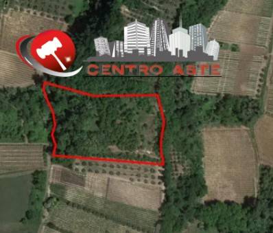 casa indipendente in vendita ad Ari