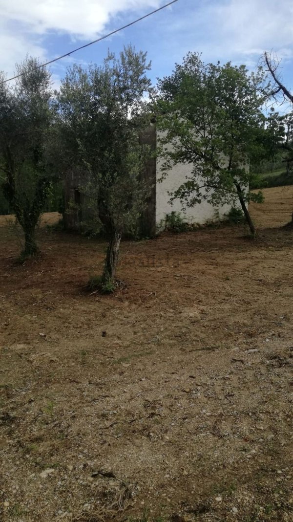 casale in vendita ad Ari