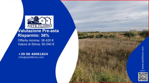 terreno agricolo in vendita ad Ari