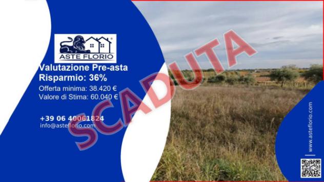 terreno agricolo in vendita ad Ari