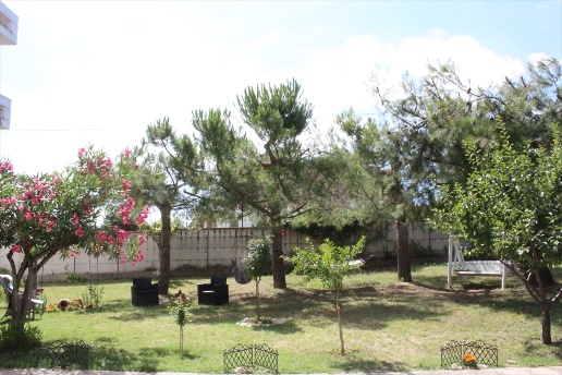 appartamento in vendita ad Ari