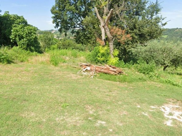 terreno agricolo in vendita ad Ari