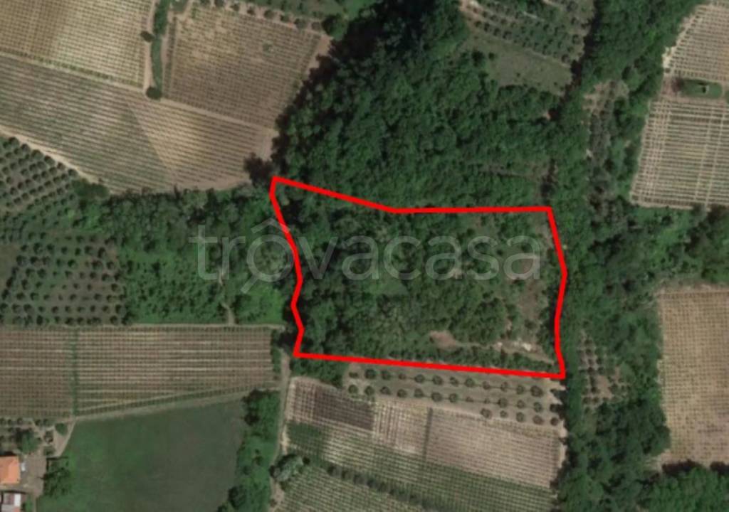 terreno agricolo in vendita ad Ari