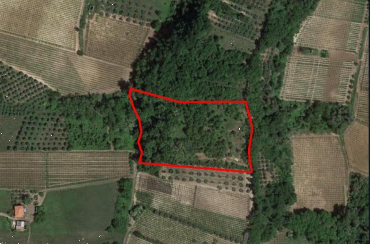 terreno agricolo in vendita ad Ari