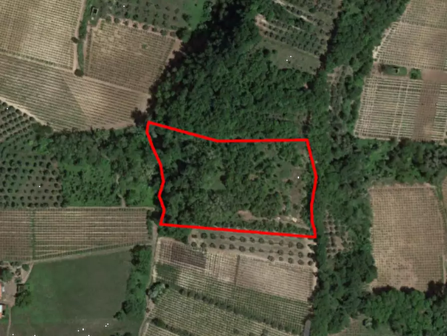 terreno agricolo in vendita ad Ari