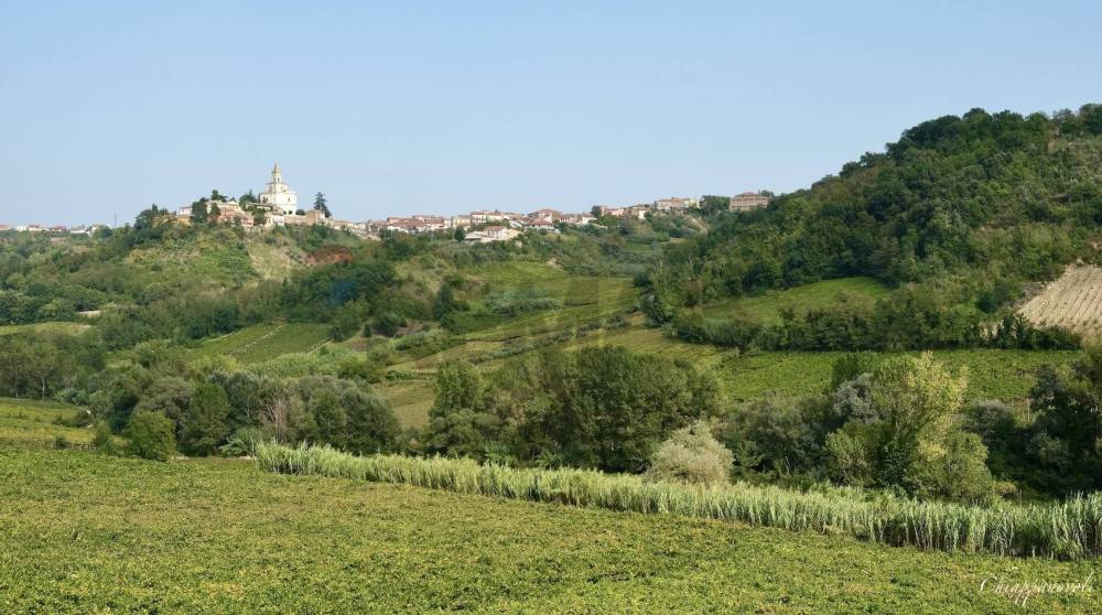 negozio in vendita ad Ari