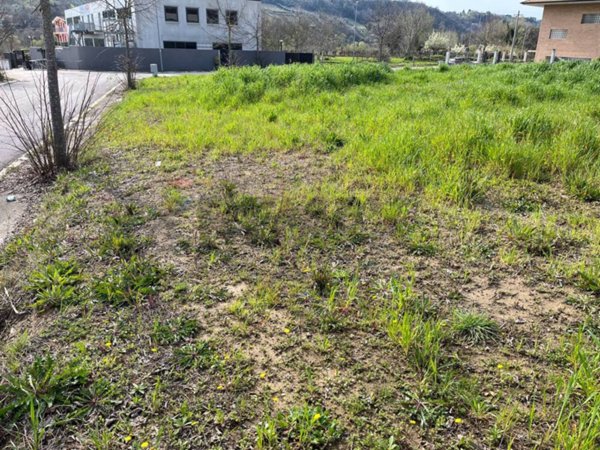 terreno edificabile in vendita ad Ari
