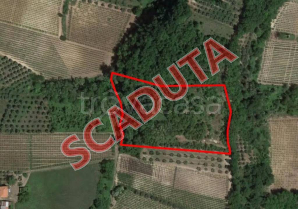 terreno agricolo in vendita ad Ari