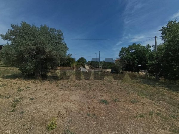 terreno agricolo in vendita ad Ari