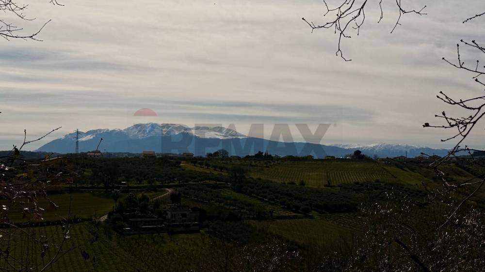 terreno agricolo in vendita ad Ari