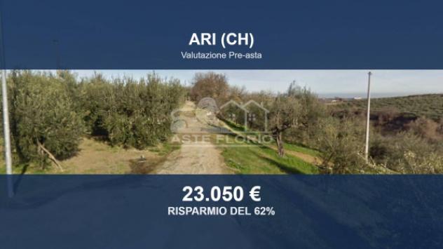 terreno agricolo in vendita ad Ari
