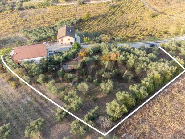casa indipendente in vendita ad Ari