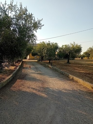 casa indipendente in vendita ad Arielli