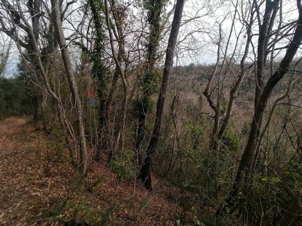 terreno agricolo in vendita ad Arielli
