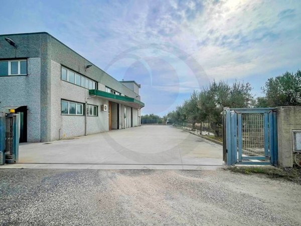 locale commerciale in vendita ad Arielli