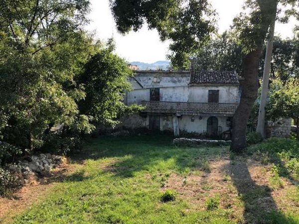 immagine annuncio 0 di 1