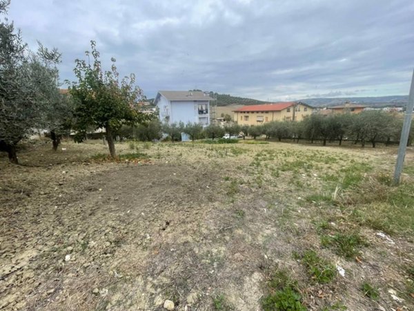 terreno agricolo in vendita ad Atessa