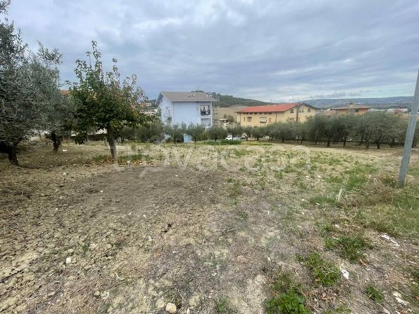 terreno agricolo in vendita ad Atessa