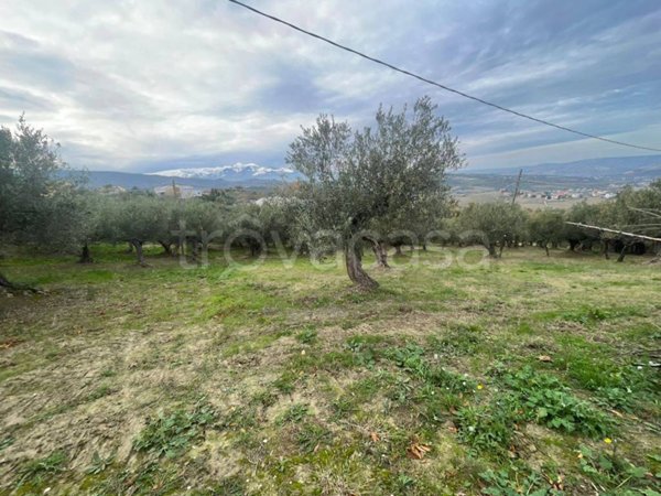 terreno agricolo in vendita ad Atessa