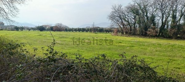 terreno agricolo in vendita ad Atessa