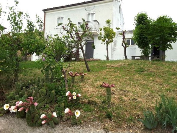 casa indipendente in vendita ad Atessa