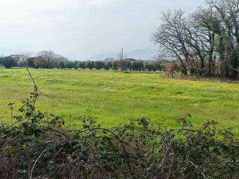 terreno agricolo in vendita ad Atessa