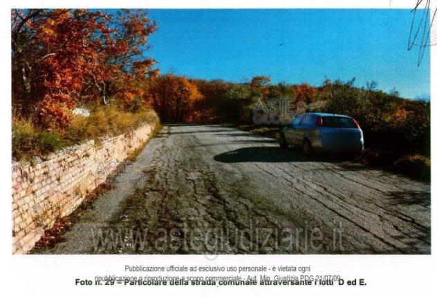 terreno agricolo in vendita a Bomba