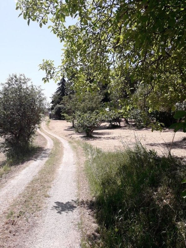 casa indipendente in vendita a Bucchianico in zona Santa Maria Casoria