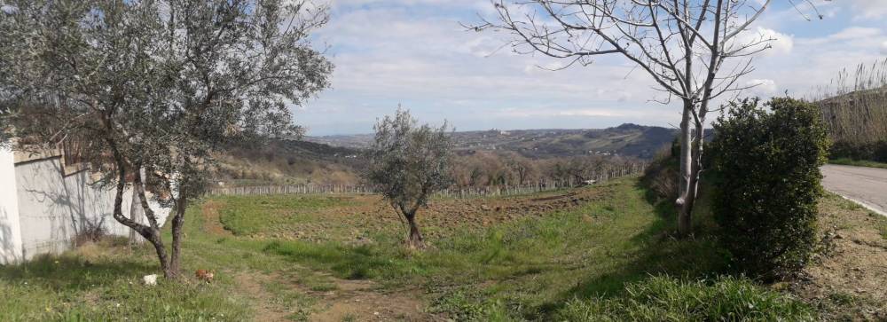 appartamento in vendita a Bucchianico