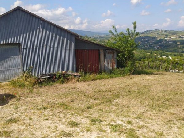 terreno agricolo in vendita a Bucchianico