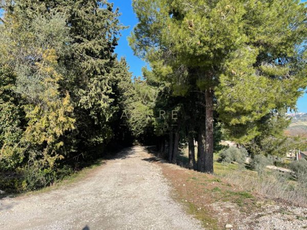 terreno agricolo in vendita a Bucchianico