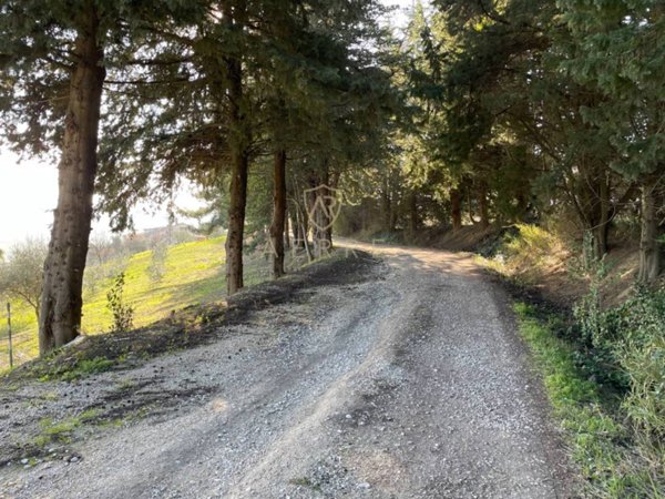 terreno agricolo in vendita a Bucchianico