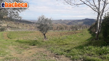 appartamento in vendita a Bucchianico