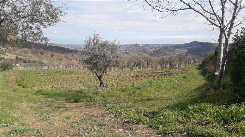 appartamento in vendita a Bucchianico
