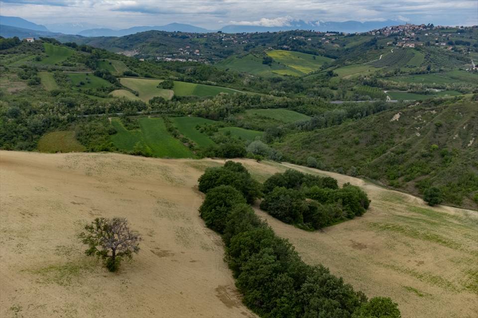 terreno agricolo in vendita a Bucchianico