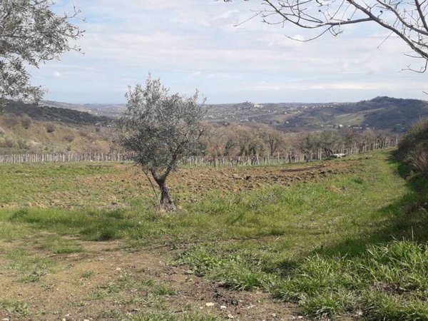 appartamento in vendita a Bucchianico