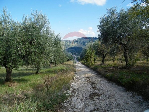 casale in vendita a Bucchianico