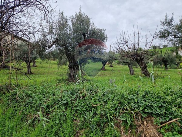 terreno agricolo in vendita a Bucchianico in zona Colle Sant'Antonio