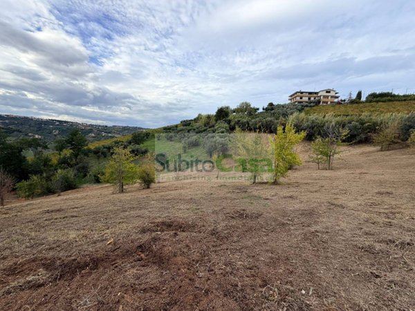 terreno agricolo in vendita a Bucchianico in zona Feudo
